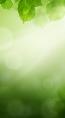 Bahar Bokeh arka plan yeşil yaprakları ile