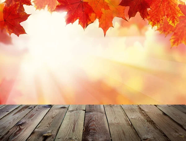Autumn Background with Fall Leaves, Abstract Light Steam — Stock Photo, Image
