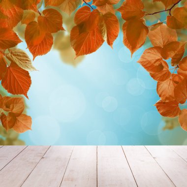 Autumn Background with Blue Sky, Fall Linden Leaves Bokeh Light  clipart