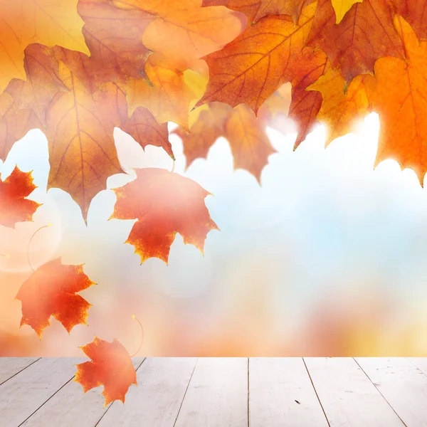 형형색색의 잎으로 뒤덮인 가을 풍경 — 스톡 사진