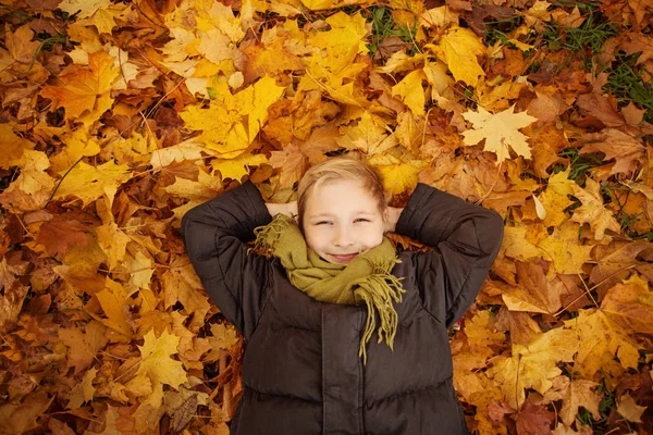 Autumn Child Boy on Fall Maple Leaves Outdoors (dalam bahasa Inggris). Happy Little Boy — Stok Foto