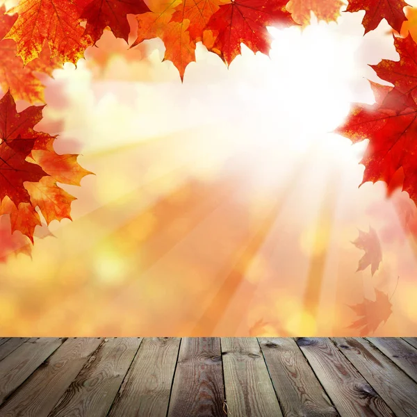 秋の背景、かえでの葉に暗い空で木製 — ストック写真