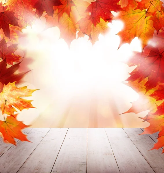 Czerwony jesień klon liści, pusty biały drewniany stół i światło słoneczne — Zdjęcie stockowe
