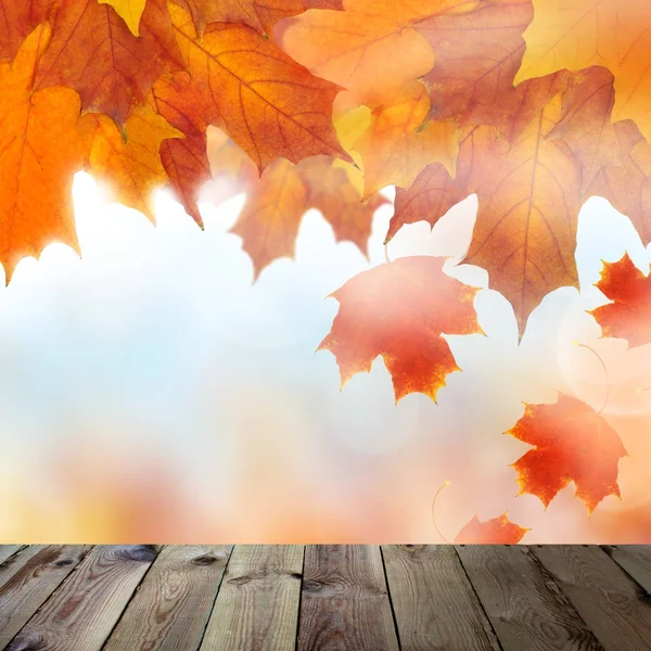 Achtergrond met oranje herfst esdoorn bladeren en lege Grunge hout — Stockfoto