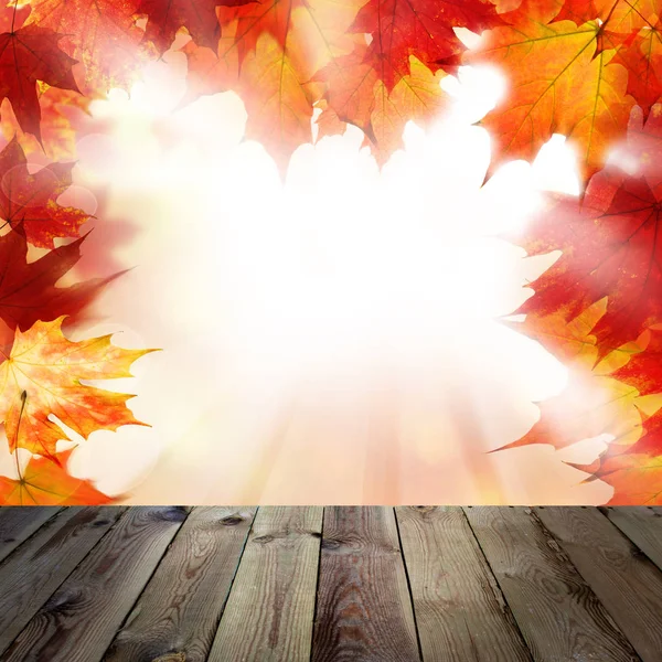 Achtergrond met oranje herfst esdoorn bladeren — Stockfoto