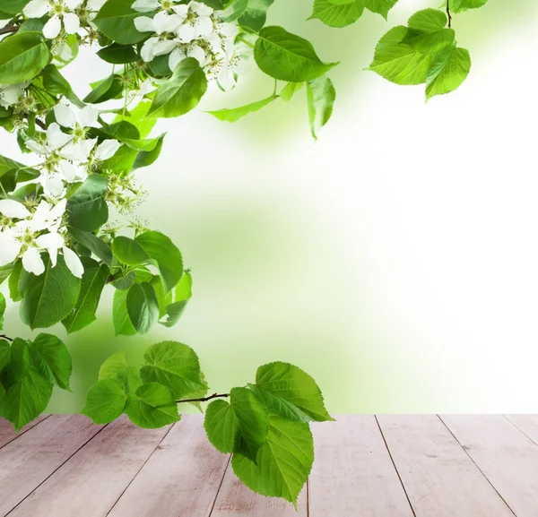 Fondo de primavera con mesa de madera vacía, Bokeh verde y verde — Foto de Stock