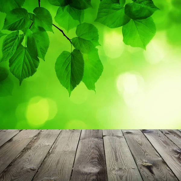 Abstrakter Frühlingshintergrund mit leerem Holztisch, grünem Bokeh — Stockfoto