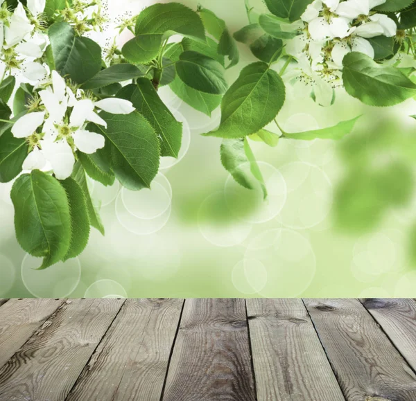Hermoso fondo de primavera con tablero de madera vacío gris — Foto de Stock