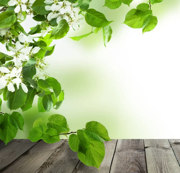 Fondo de primavera con mesa de madera gris vacía, manzana verde — Foto de Stock