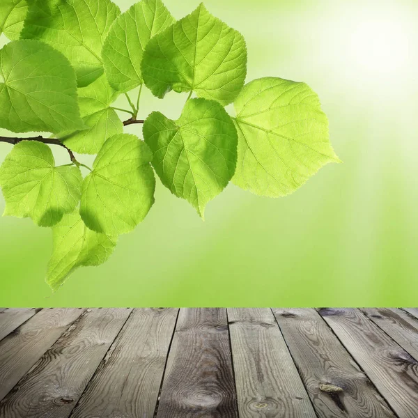 Grüner Hintergrund mit leerem Tisch und Frühlingsblättern — Stockfoto