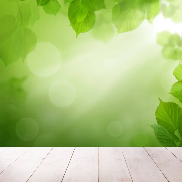 Summer Background with Green Leaves, Bokeh Light and White Empty — Stock Photo, Image