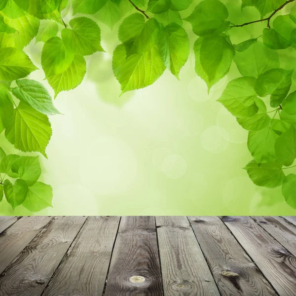 Green summer bokeh background with green leaves, bokeh light — Stock Photo, Image