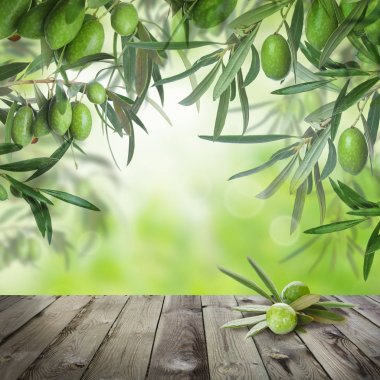 Yeşil kalamata zeytin, soyut bokeh ışık 