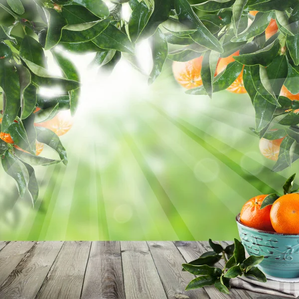 Frutas de mandarina y fondo bokeh de verano — Foto de Stock