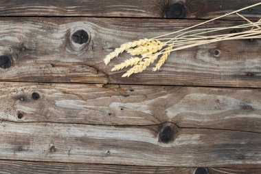 Altın çavdar Spikelets üzerinde koyu ahşap arka plan