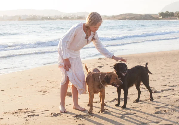 Blond flicka med en hund som leker på morgonen på stranden — Stockfoto
