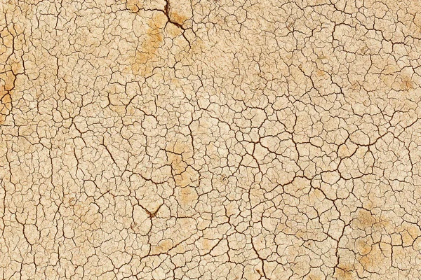 Grietas en la superficie de la tierra . —  Fotos de Stock