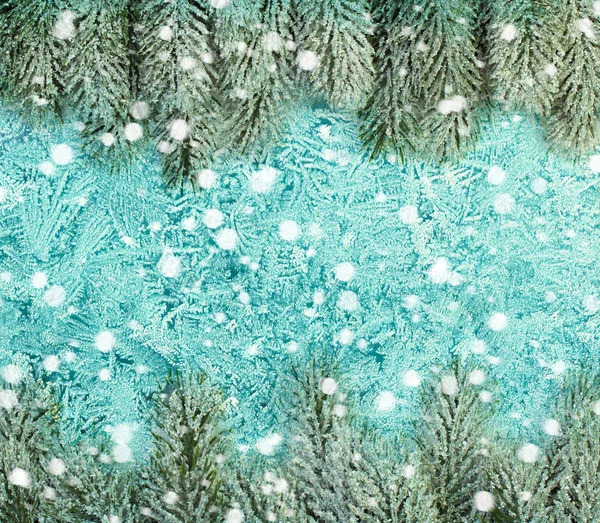 圣诞窗背景与雪杉树枝和霜 — 图库照片