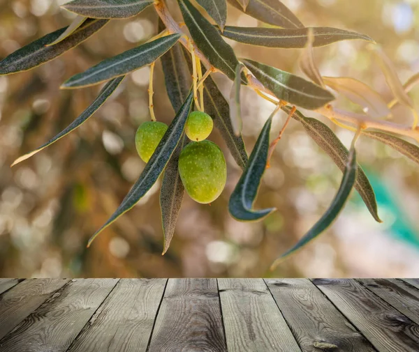 Vista desde terraza de madera. Aceitunas con hojas sobre olivo . — Foto de Stock