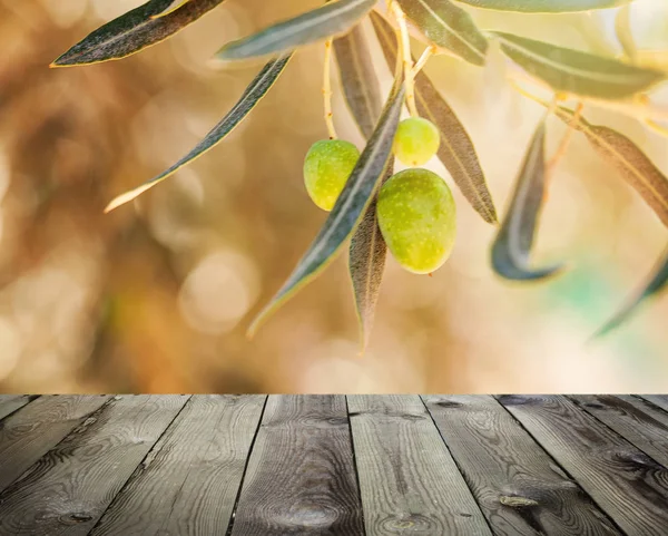 Vista desde terraza de madera. Aceitunas con hojas sobre olivo . —  Fotos de Stock