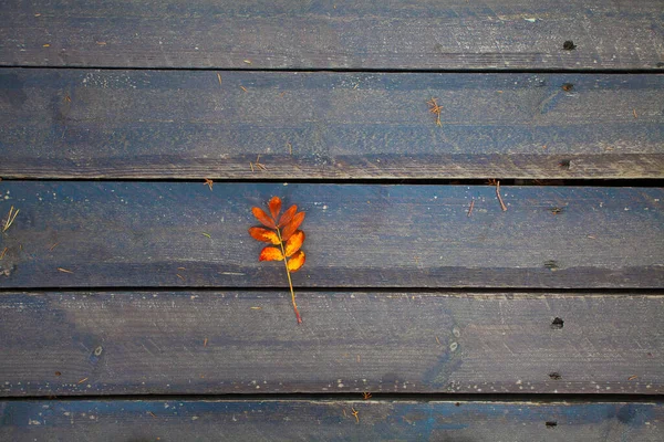 Autunno Sfondo Bordo Legno Con Foglia Rossa Gialla — Foto Stock