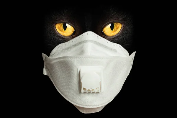 Viso Gatto Nero Maschera Medica Sfondo Nero — Foto Stock