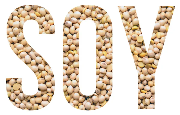 Banner de texto de soja — Fotografia de Stock