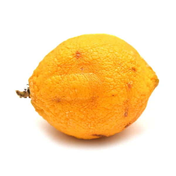 Wither lemon on white — Stock Photo, Image