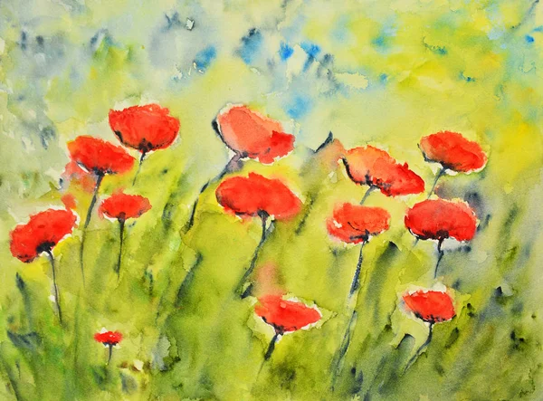 suluboya resim, haşhaş