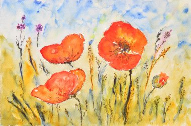 suluboya resim, haşhaş