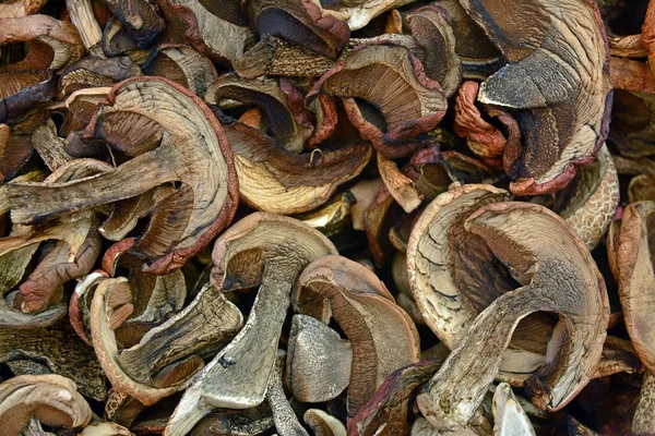 Fatias de cogumelos secas — Fotografia de Stock