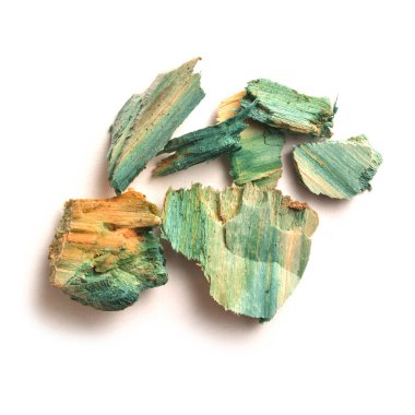 xylindein, green-oak clipart