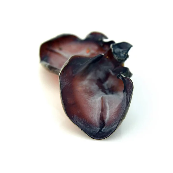 Auricularia auricula-judae 버섯 — 스톡 사진