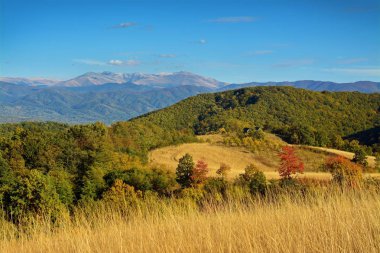 Sonbahar kırsal arazisi