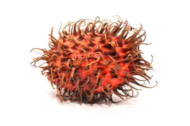 Beyaz Rambutan meyve