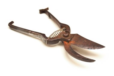 secateurs beyaz