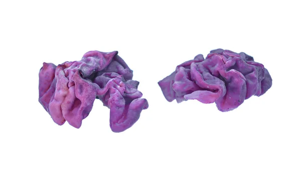 Purple jellydisc fungus — Stock Photo, Image