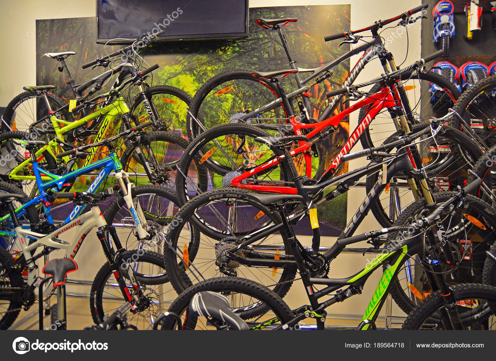 mountain biking store