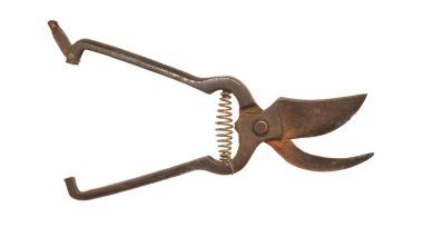 secateurs beyaz