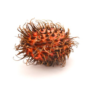 Beyaz Rambutan meyve