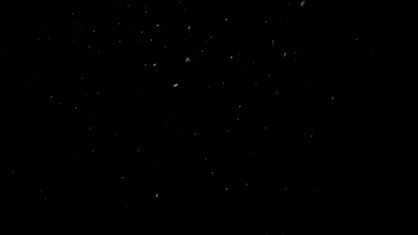 落ちてくる雪冬 — ストック動画