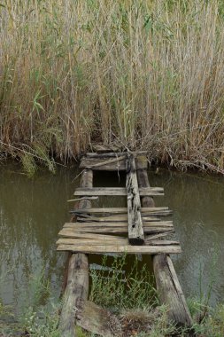 derme çatma köprü bataklık creek