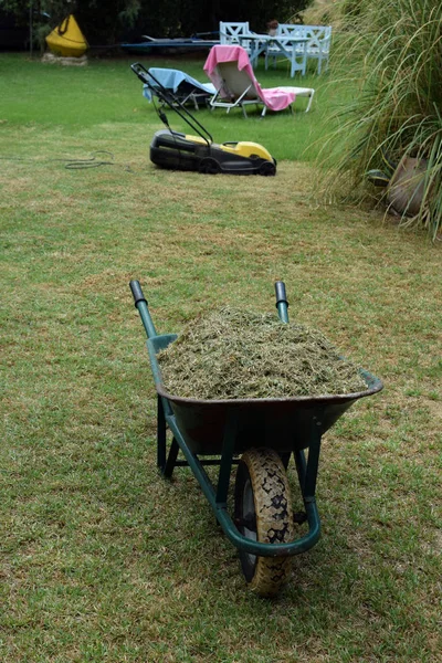 Çim biçme makinesi ve kesilmiş çimen — Stok fotoğraf