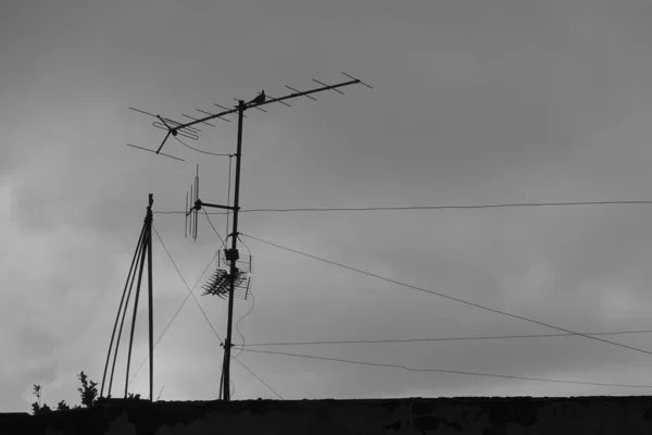 Tv antenna and bird on abandoned house roof — 图库照片