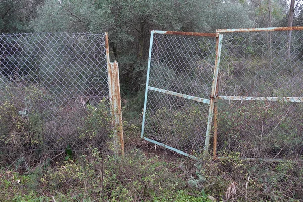 Zardzewiałe ogrodzenie krzywe bramy w lesie — Zdjęcie stockowe