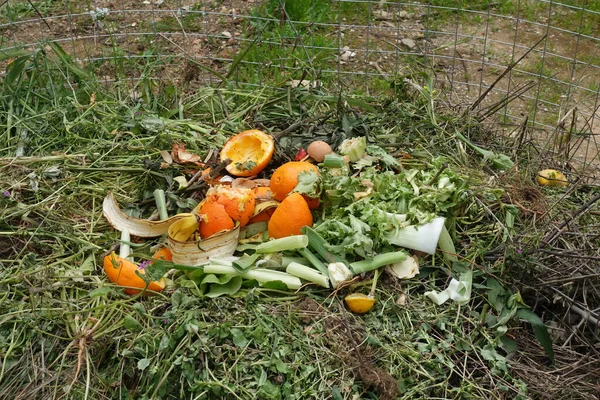 Garden weeds rotten vegetables and food scraps in compost pile. Green organic waste.