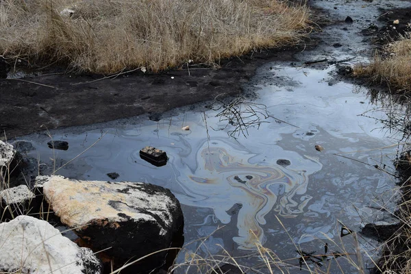 Natural tar water asphalt pit in swamp wetland.