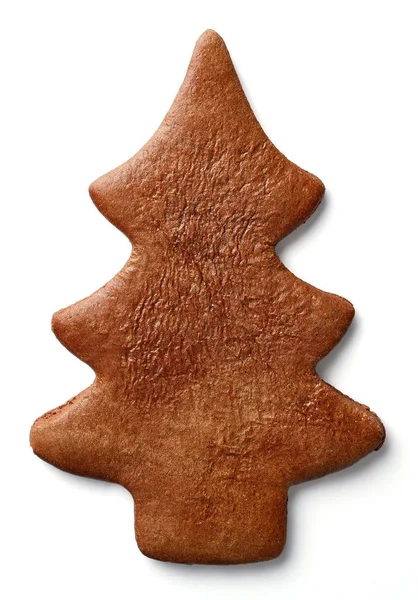 Christmas tree shaped gingerbread cookie — Stock Photo, Image