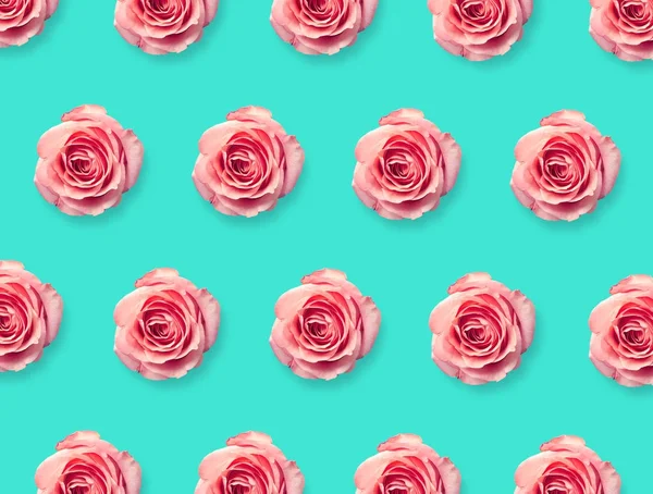 Fundo de rosa rosa flor — Fotografia de Stock