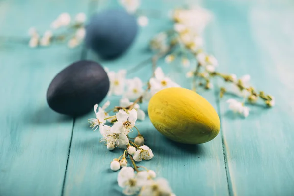 Ovos de Páscoa e flor de primavera — Fotografia de Stock